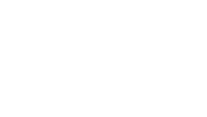 LEADER-WHITE